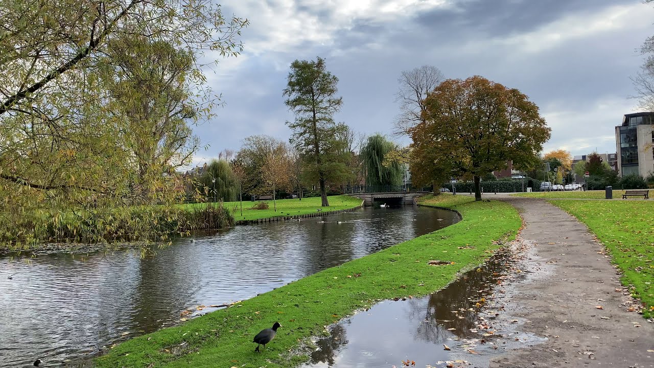 Autumn 2020 | Rozenburg Park | Rotterdam | The Netherlands