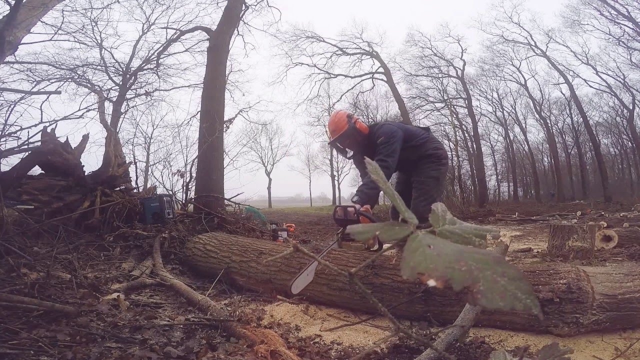 GoPro#Stihl#MS340#Forest#Hero4