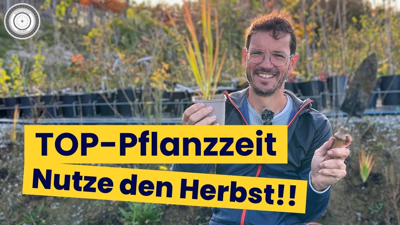 Langweilige Böschung wird Schmetterlings- und Bienenspot