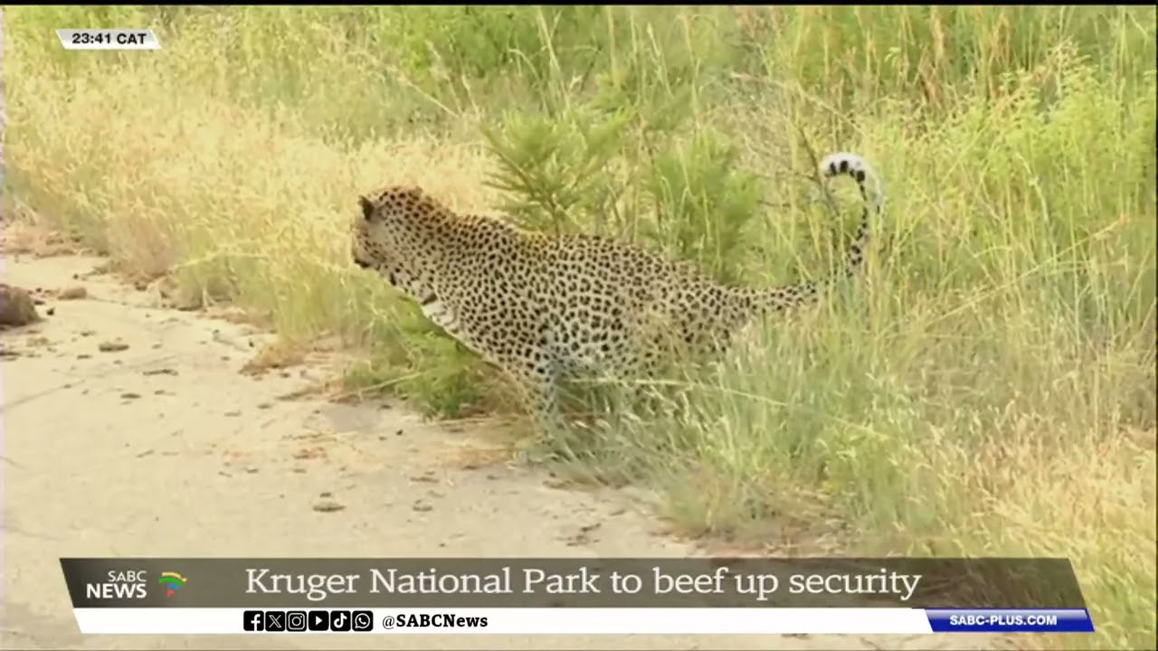 Kruger National Park | Safety of visitors will be prioritised - Phindile Makhuvele