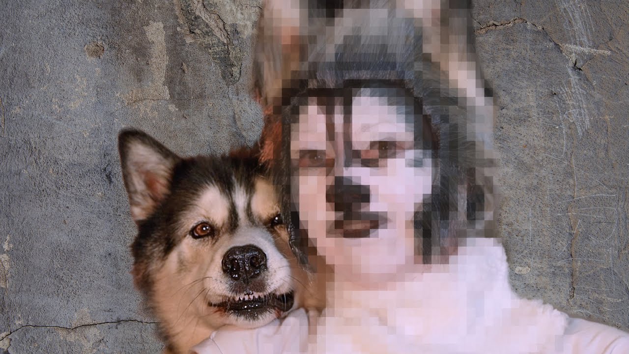 Transforming Myself into My Husky While He is Chaos!