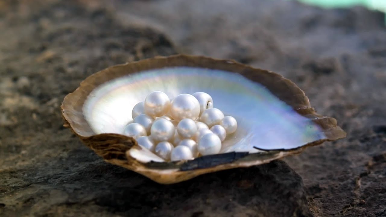 Destination WA - Stunning Willie Creek Pearls