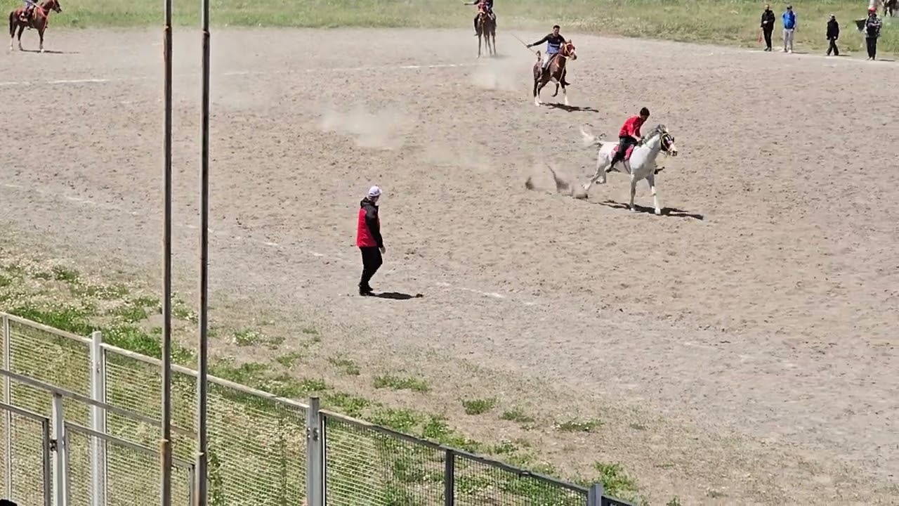 Aziziye beypınar atlı spor kulübü ile Dadaş atlı spor kulübü  2. Yarı (puanlı cirit)