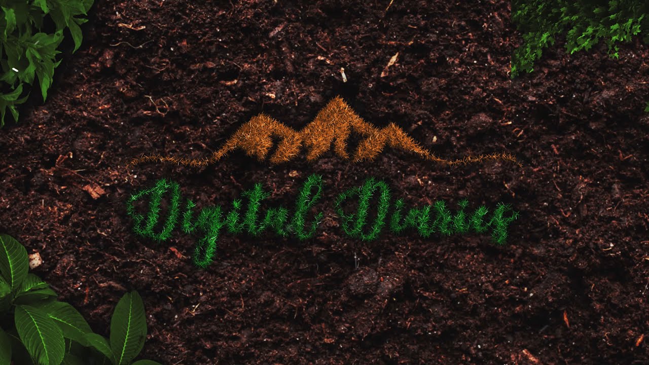 :::: Digital Diaries ::::