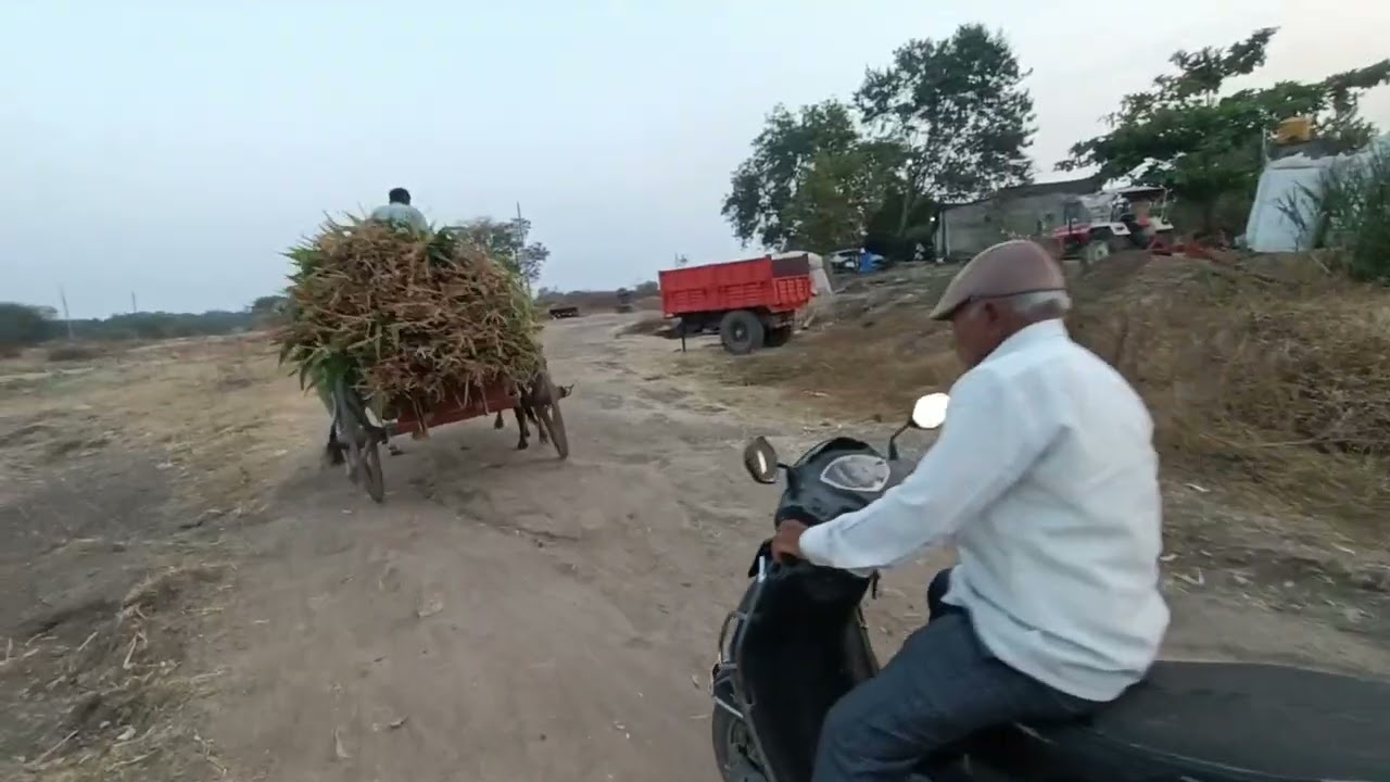 मक्काचे शेंडे आणायला गणेशच्या शेतामध्ये आलोय.