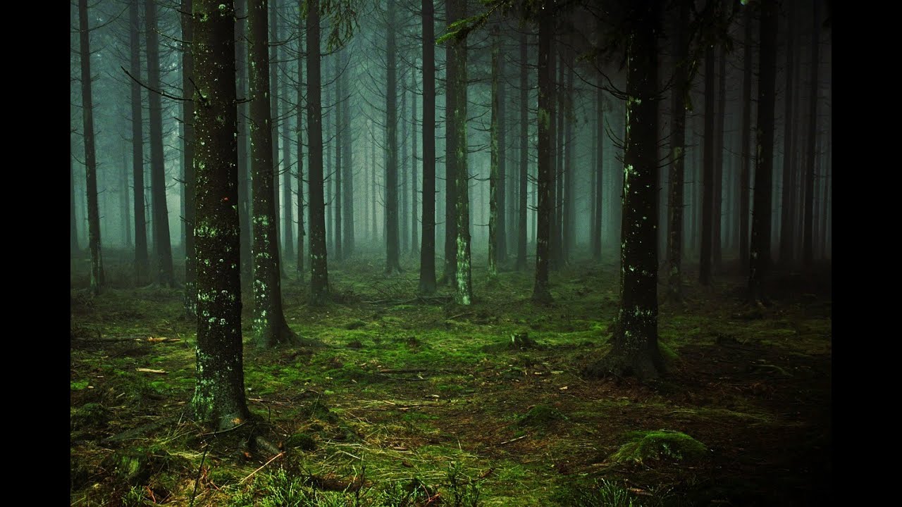 Under Those Loblolly Pines --   Original Collab with  One Woman and Some Songs