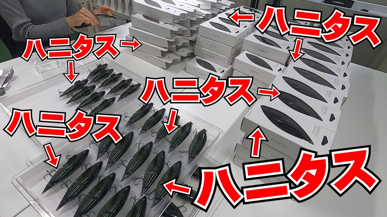 【本邦初公開】『ハニタス』で話題のマドタチ株式会社に潜入してみた。