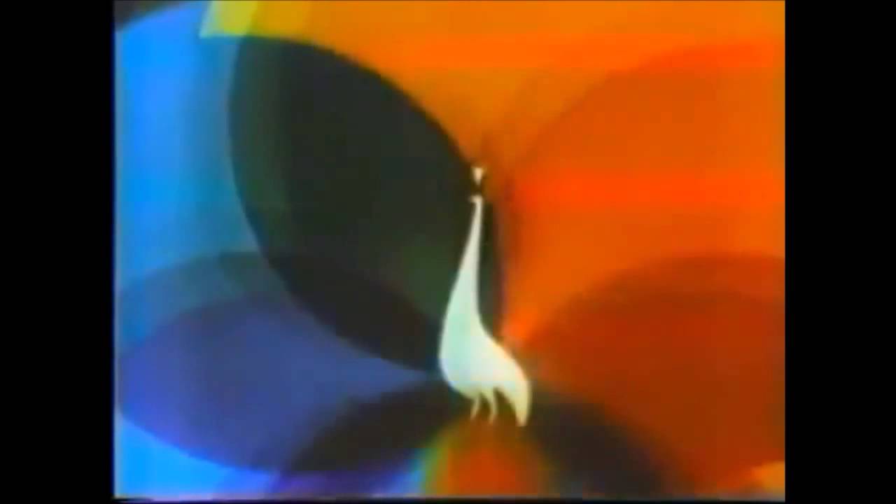 KNBC ID 1971/NBC Sports In Living Color Intro 1971