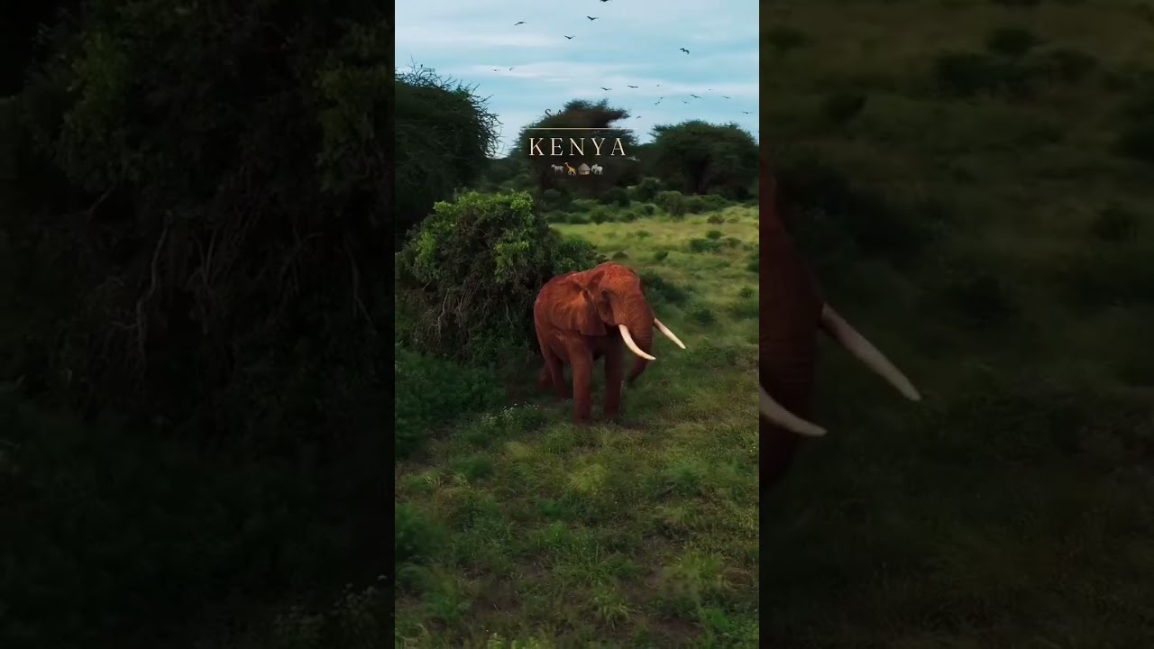 Dive into KENYA'S Hidden Travel Gems Now!