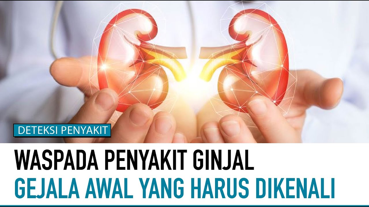 Waspada! Kenali Gejala Awal Penyakit Ginjal | Deteksi Penyakit