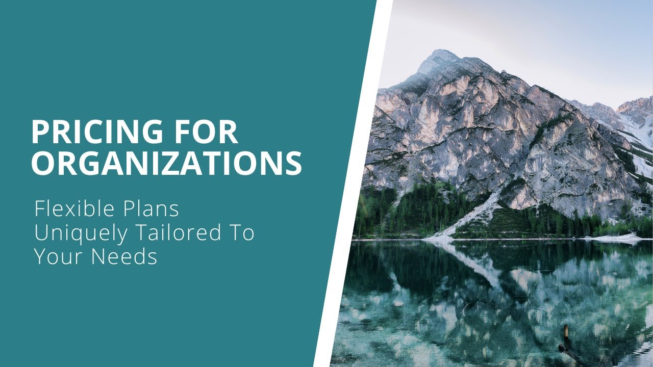 Pricing for Organizations