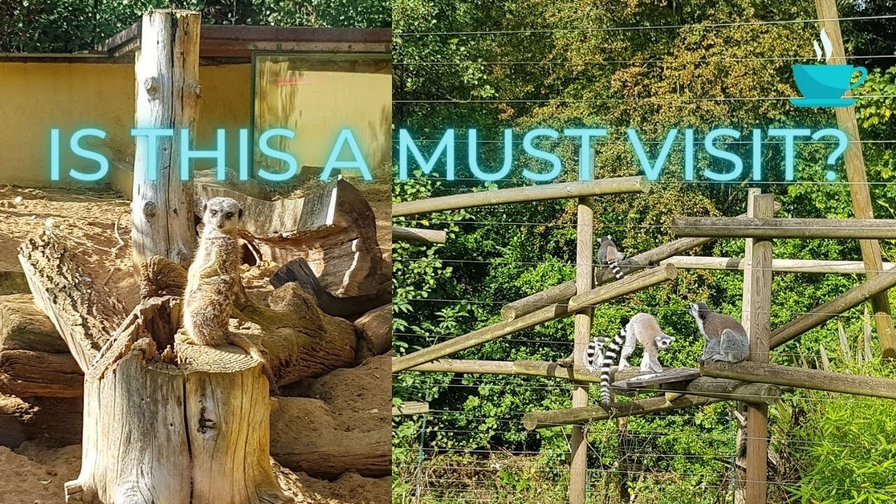 This Hidden Gem Is A Must Visit In Birmingham | Birmingham Wildlife Conservation Park
