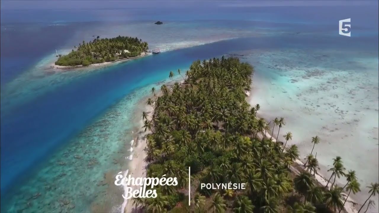Polyn&eacute;sie, un go&ucirc;t de paradis - &Eacute;chapp&eacute;es belles