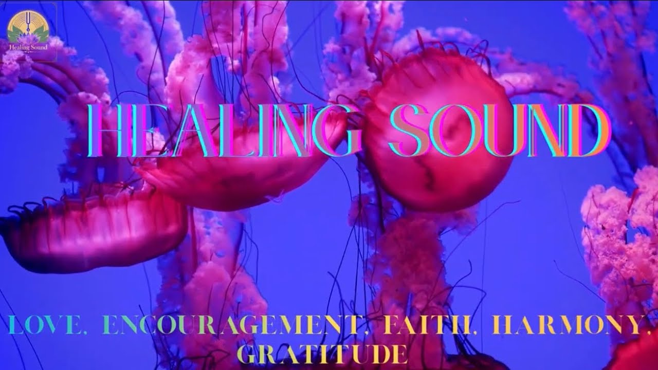 Life and Coral Beauty