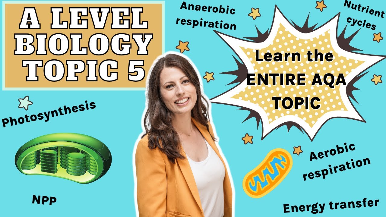 ENTIRE topic 5 - THIS IS AN OLD VERSION.  SEE DESCRIPTION FOR NEW LINK