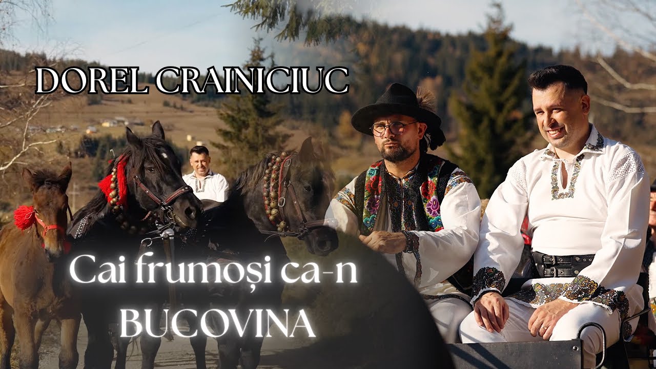 Dorel Crainiciuc-Cai frumoși ca-n Bucovina 
