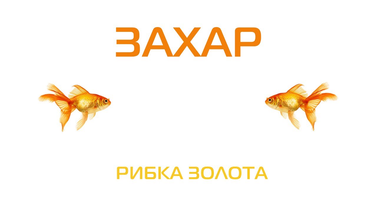Захар - Золотая рыбка