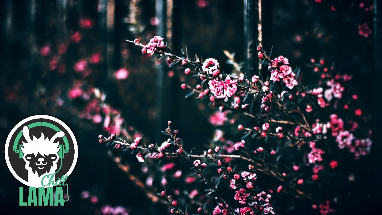 Polished Chrome - In the Garden | Best Chillout Music