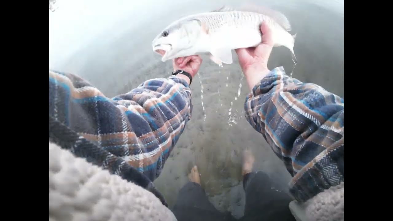INSHORE MASTER CLASS | REDFISH & MORE🔥