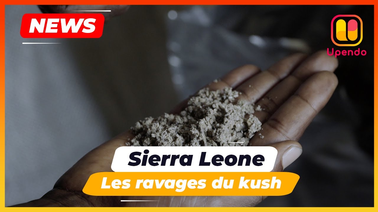 Sierra Leone : les ravages du Kush