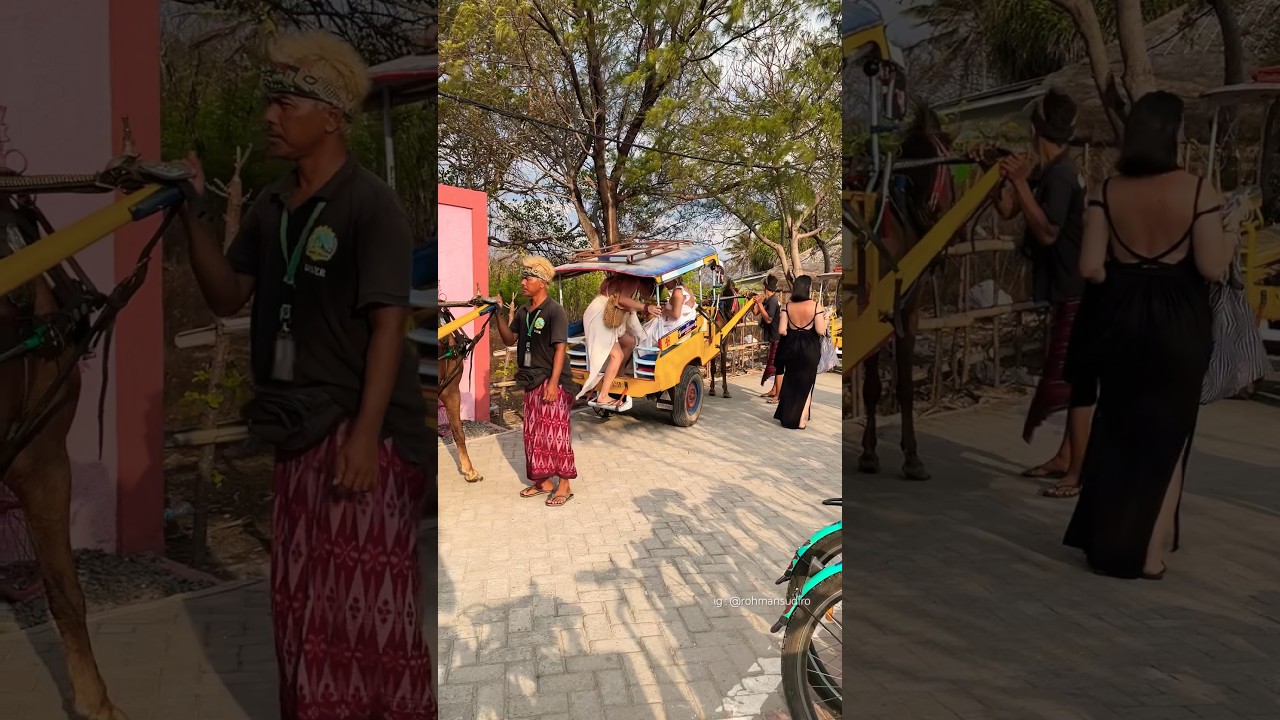 Cidomo Gili #gilitrawangan #giliislands #island #beach #pantai #lombok #cidomo #indonesia #guest