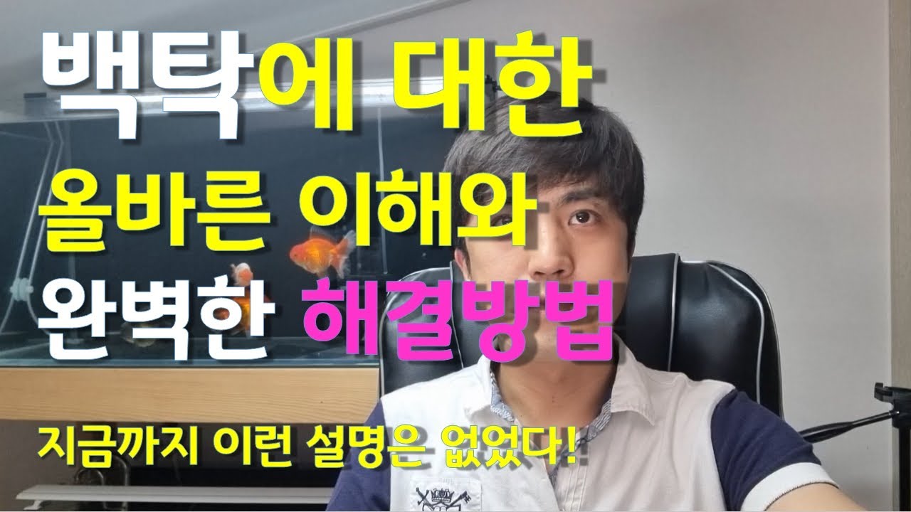 물잡이 백탁의 원인, 해결방법. 박테리아 폭등과 사체로 인한 백탁에 대한 올바른 이해