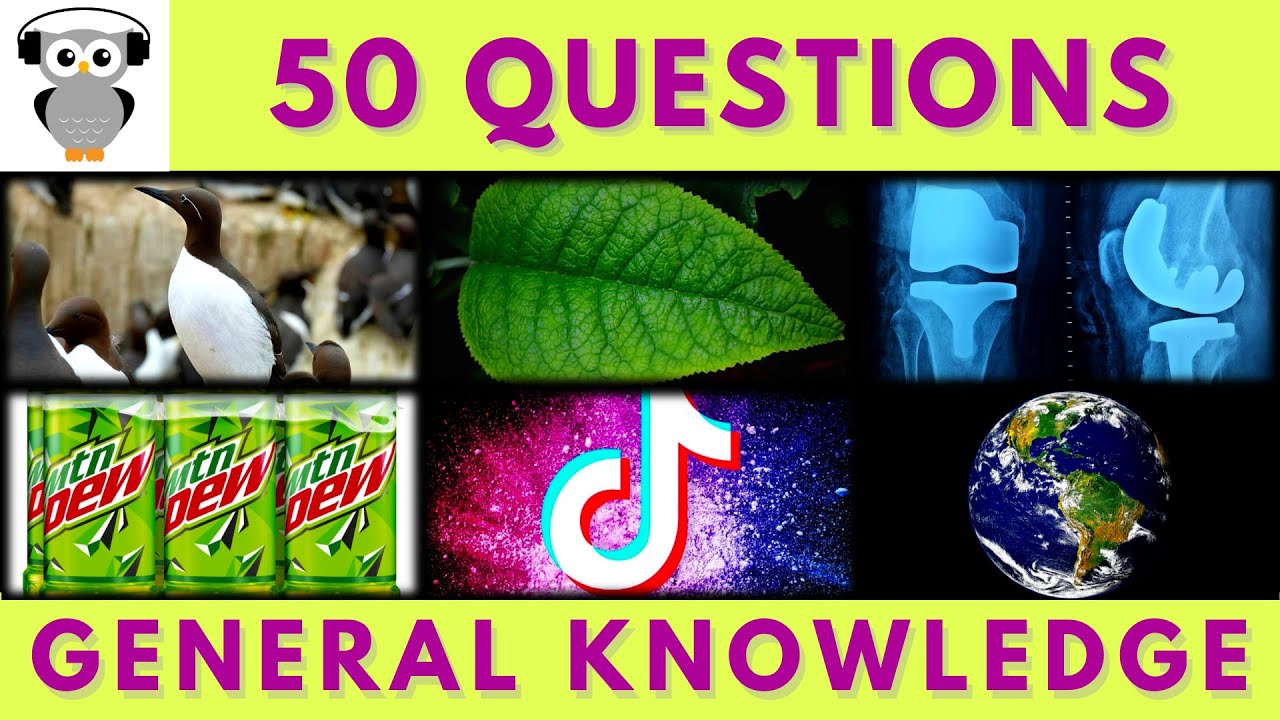 General Knowledge Quiz Trivia #87 | Seabird, X-Ray, Mountain Dew, Tik Tok, Centre of Universe