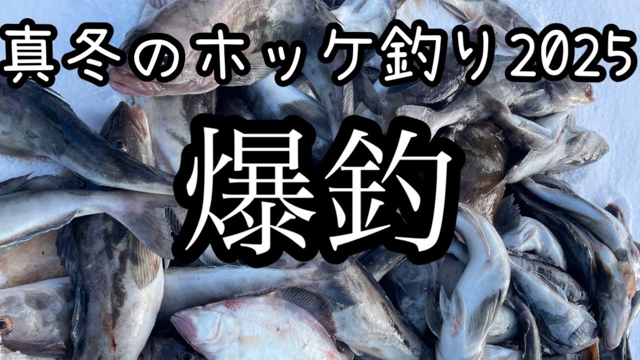 積丹ホッケ釣り2025冬。海全体が釣り堀状態