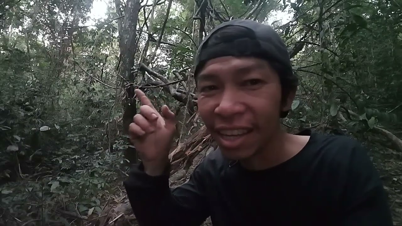 ใช้ชีวิตอยู่ป่ากับทีมงาน