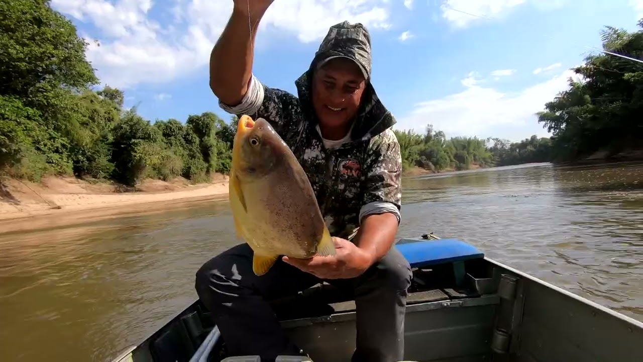 TOMARA QUE SEJA BOM DE PEIXE ASSIM TODO ANO NO RIO MIRANDA