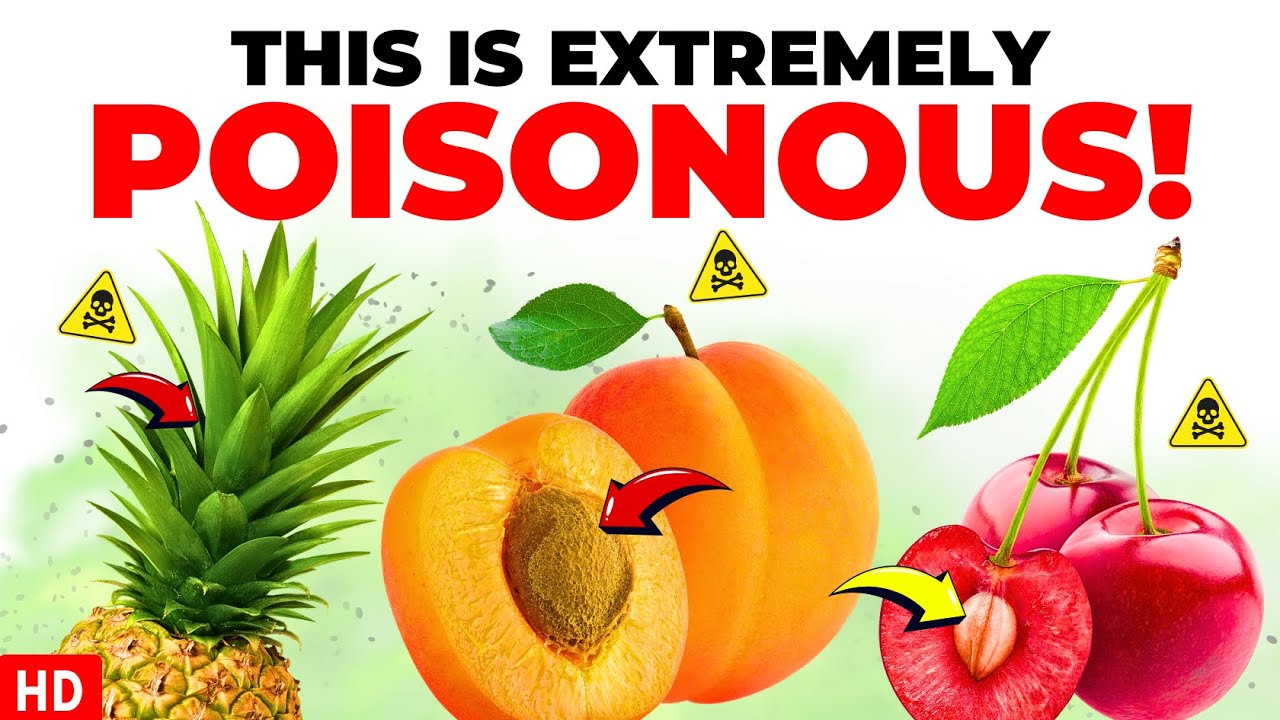 Stop Eating These Fruits! | 12 Poisonous Foods That Could Risk Your Health
