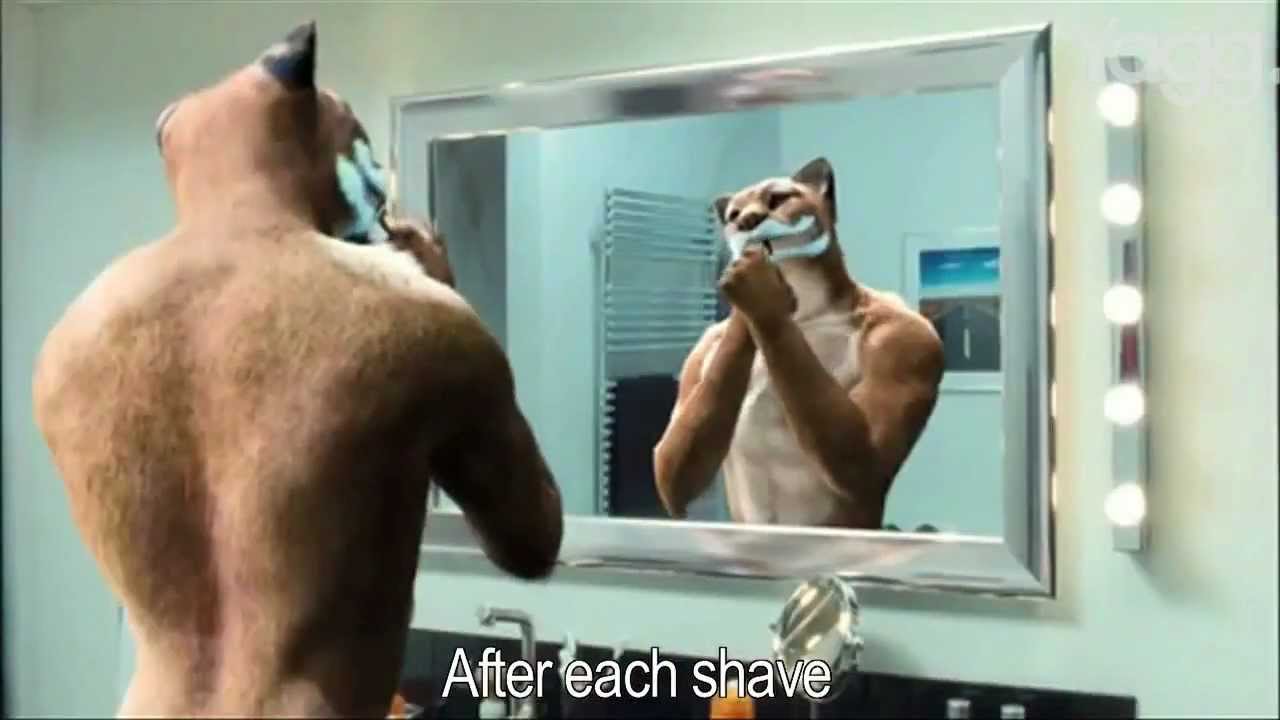 Gay Cat Man Orangina commercial in France