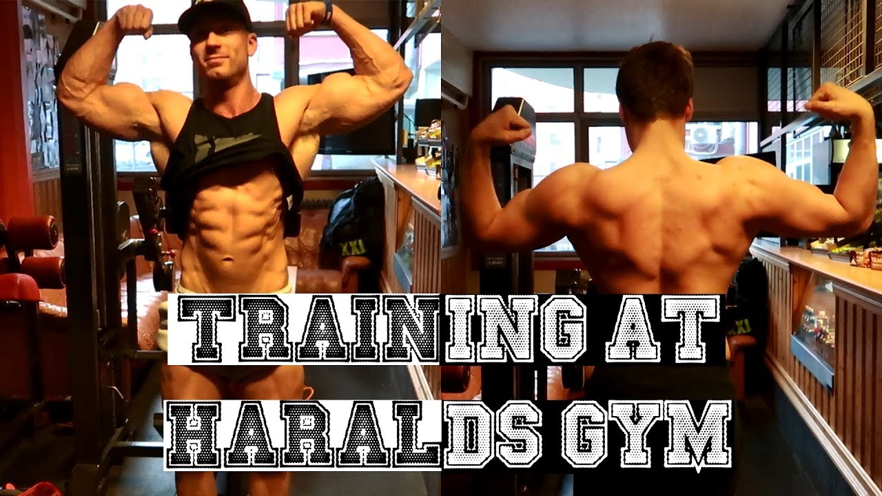 OSLO DAY 2 | TRAINING AT HARALDS GYM  w/Eivind Slaatto