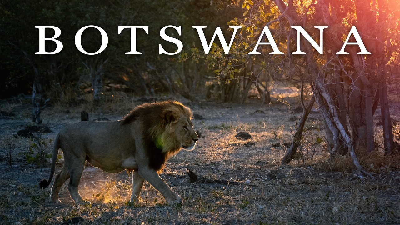 Botswana 🇧🇼 14 Day Safari (Moremi, Khwai, Chobe & Victoria Falls)