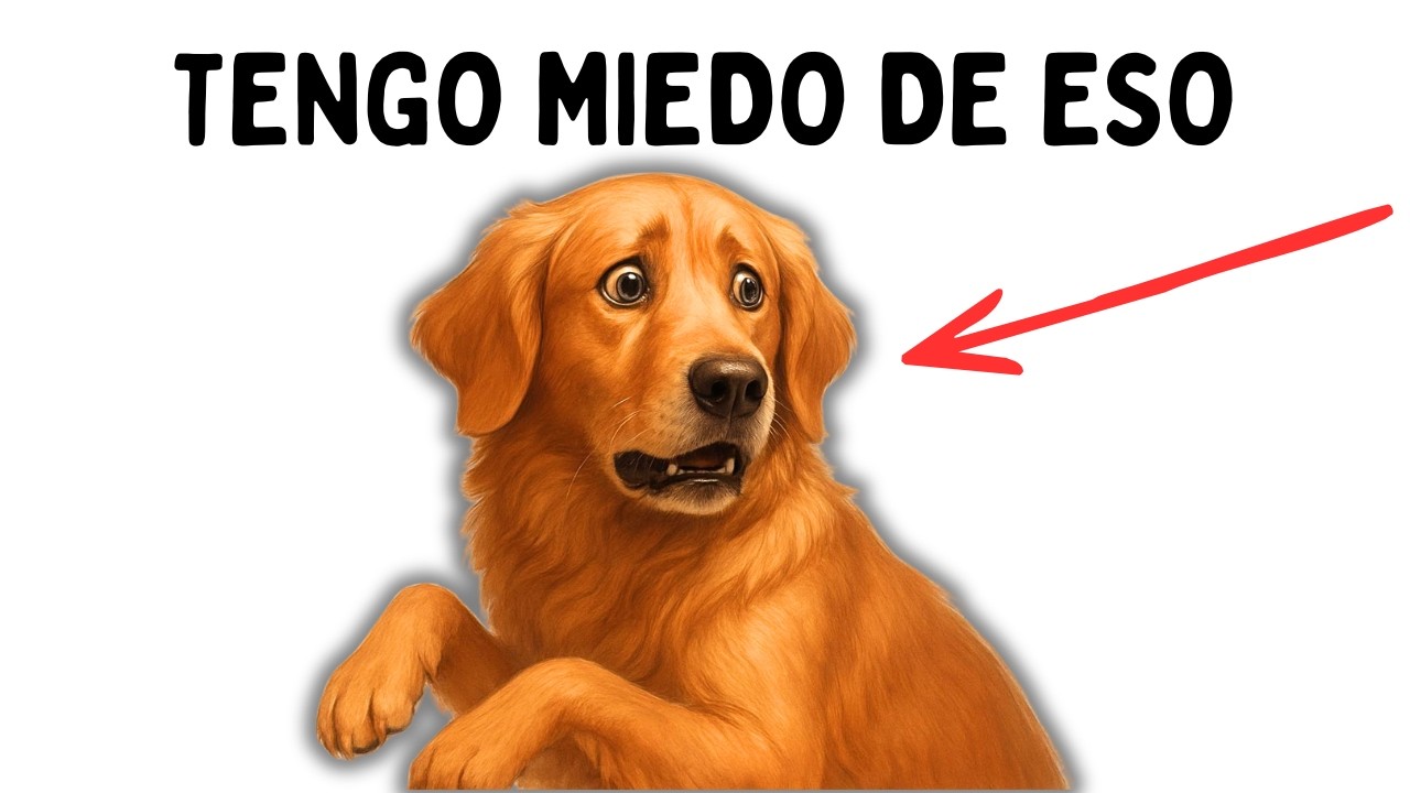¡No IGNORES esto! 9 Señales de MIEDO Silencioso en tu Perro (psicología canina)