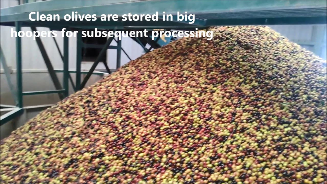 New application of Pulsed Electric Field in olive oil production