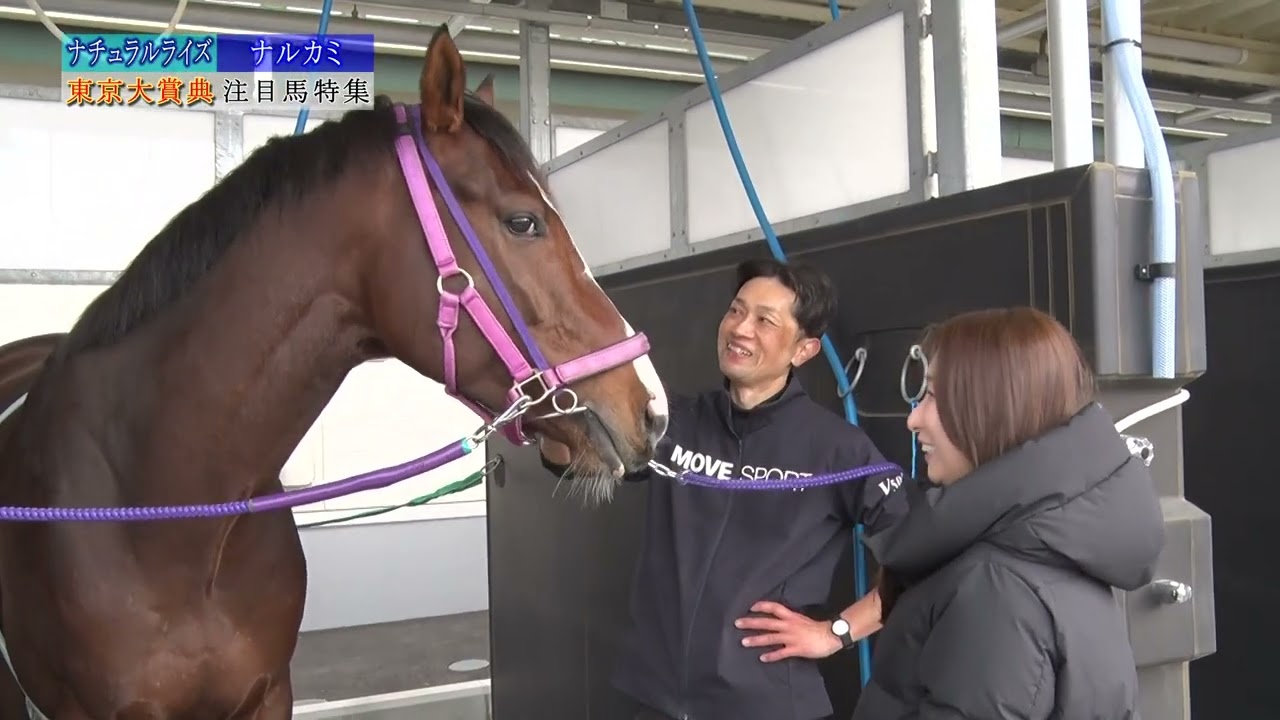 東京大賞典　注目馬特集（ナチュラルライズ・ナルカミ）