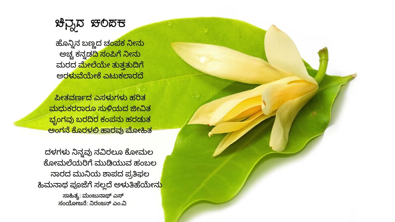 ಚಿನ್ನದ ಚಂಪಕ । ಮಂಜುನಾಥ್ ಎಸ್ (ಹಿಮನಾಥ ) । ನಿರಂಜನ್ ಎಂವಿ | ದಿನಕ್ಕೊಂದು ಹಾಡು |  ಗೀತ ಲಹರಿ