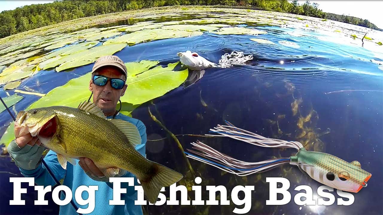 Monster Bass Crush Topwater Frogs (Ultimate Guide)