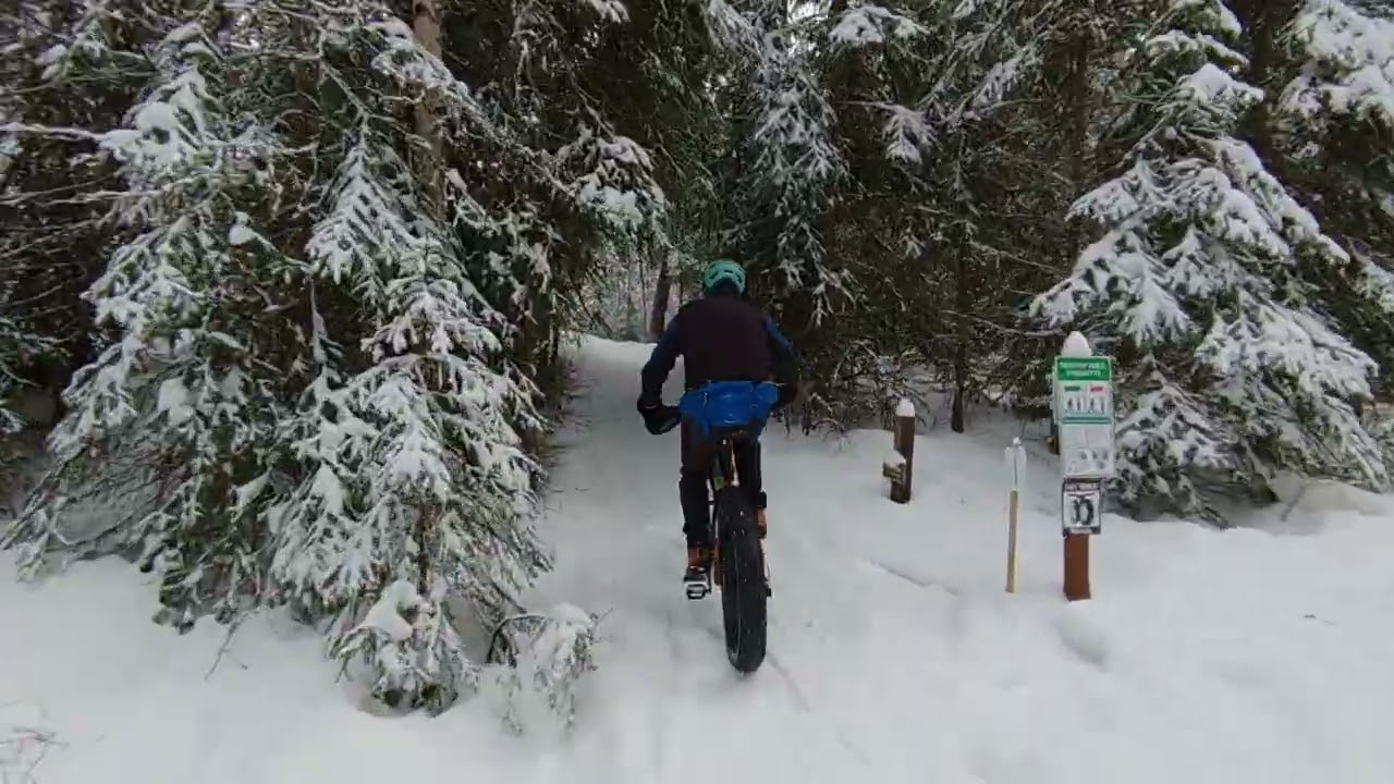 Isobel Fat Bike 