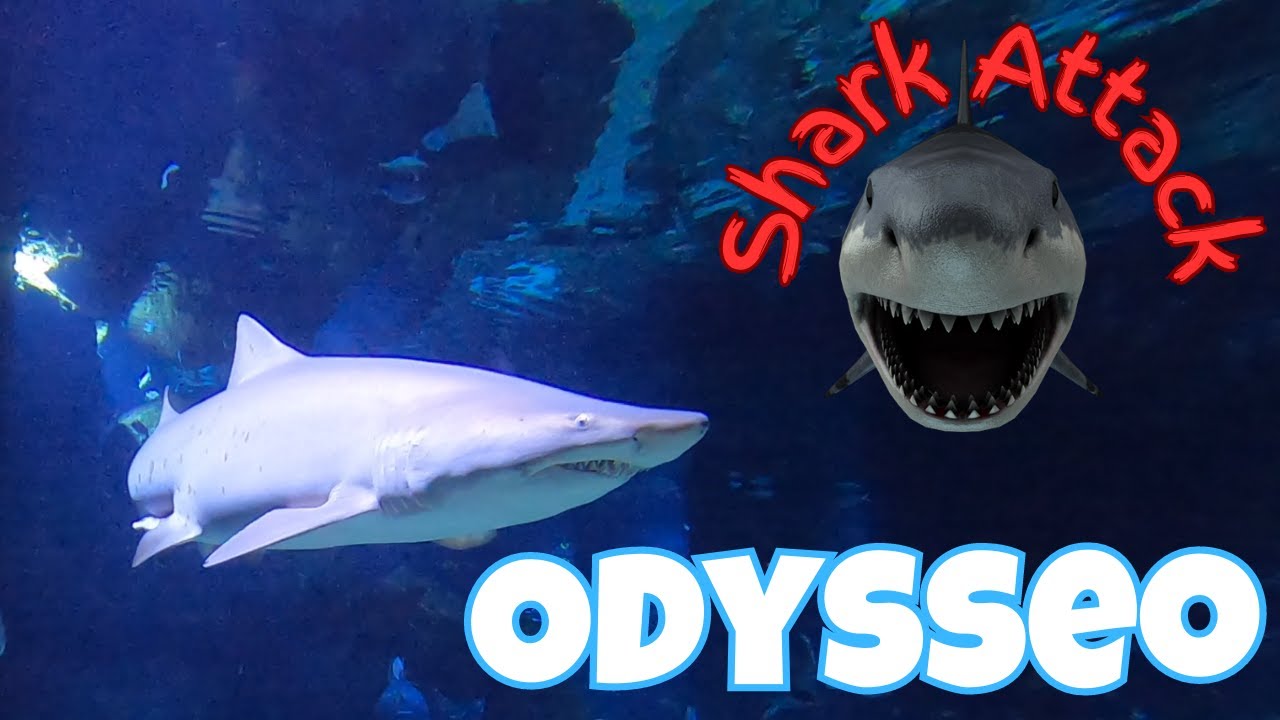 Odysseo Oceanarium | Wildlife in #mauritius | Marine Life | Deep Dive in Wild | #gopro Hero8 Black