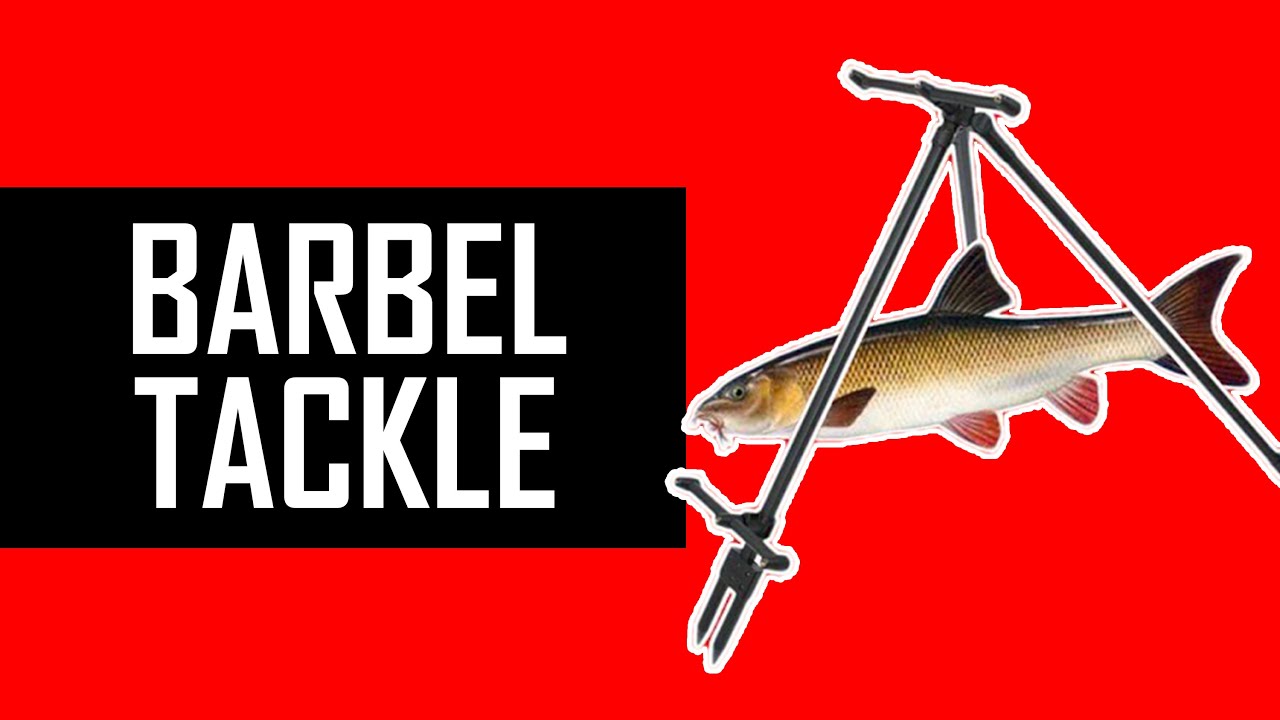BARBEL FISHING MUST-HAVES for quick session