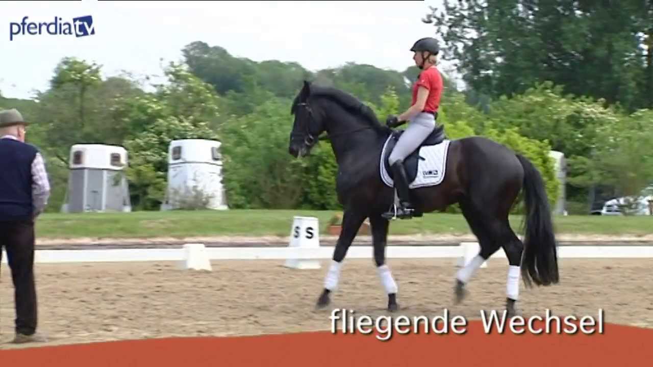 Ausbildung für Dressurpferde - die weiterführende Arbeit |  Ingrid Klimke