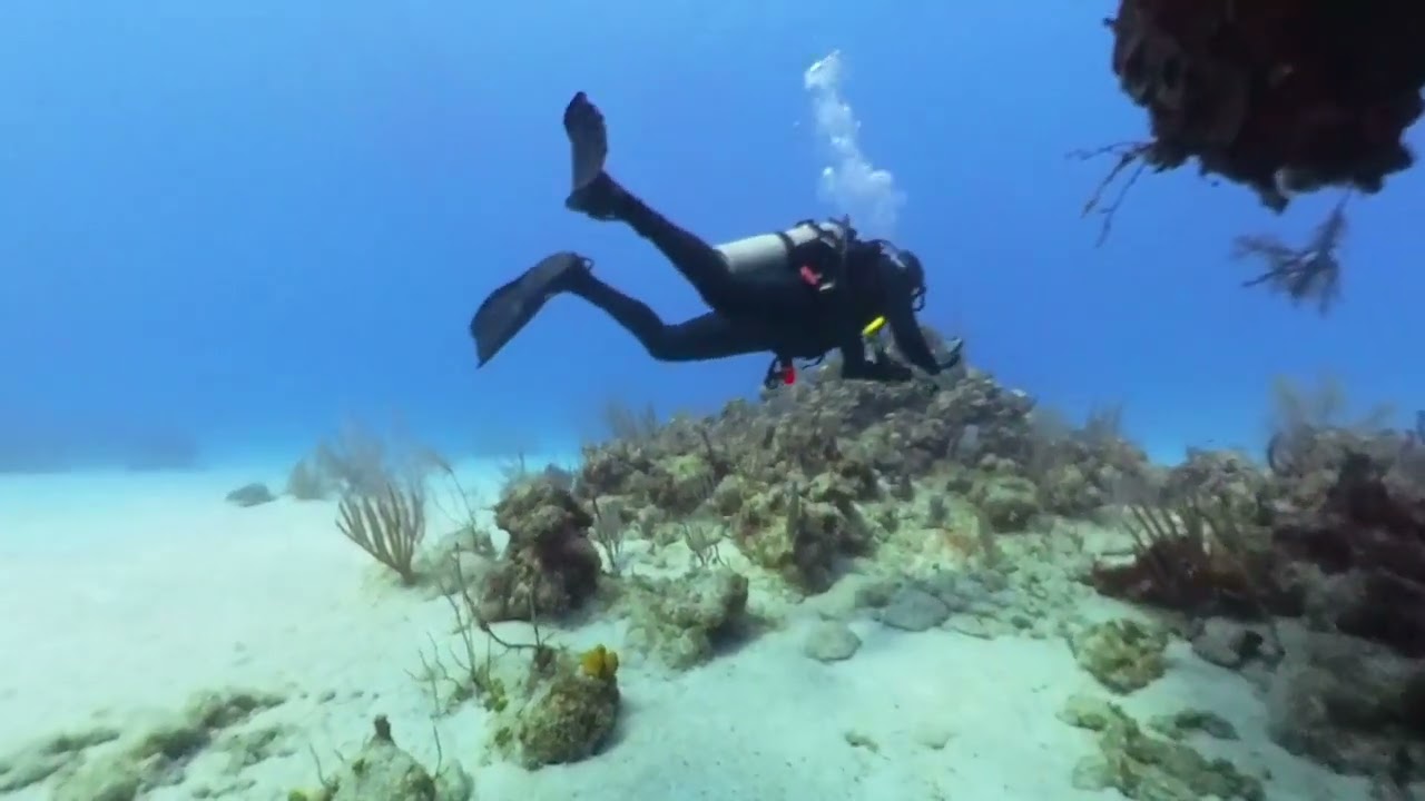 DD6 Grand Cayman Smiths Cove 5