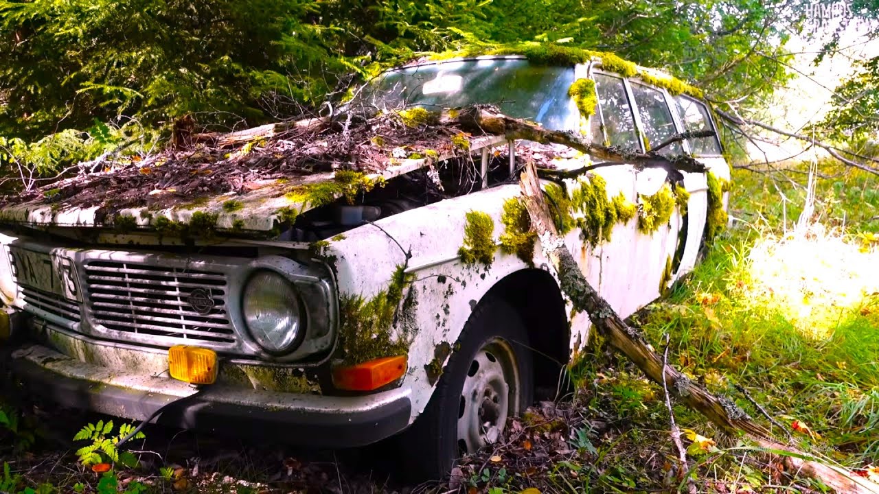 Amazing Restoration Transforms A 40 year old Rusted And Aamaged DAEWOO Into A New Car