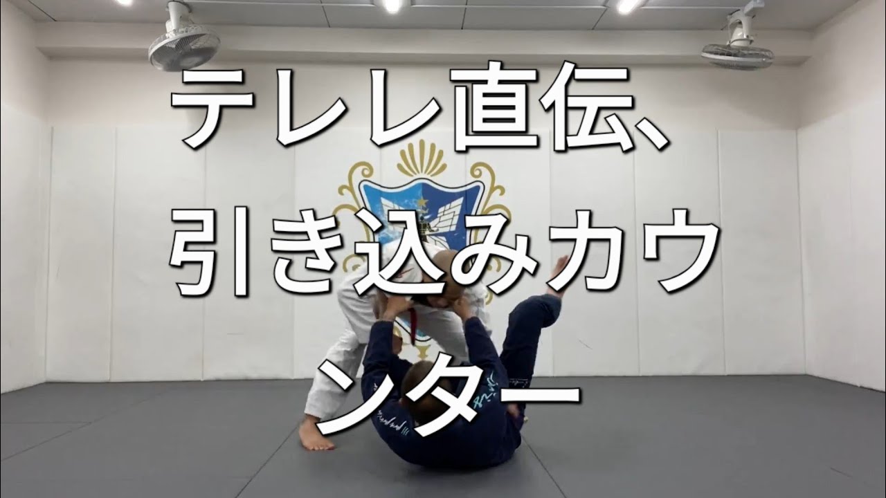 引き込まれたらすぐパスガードしてみよう