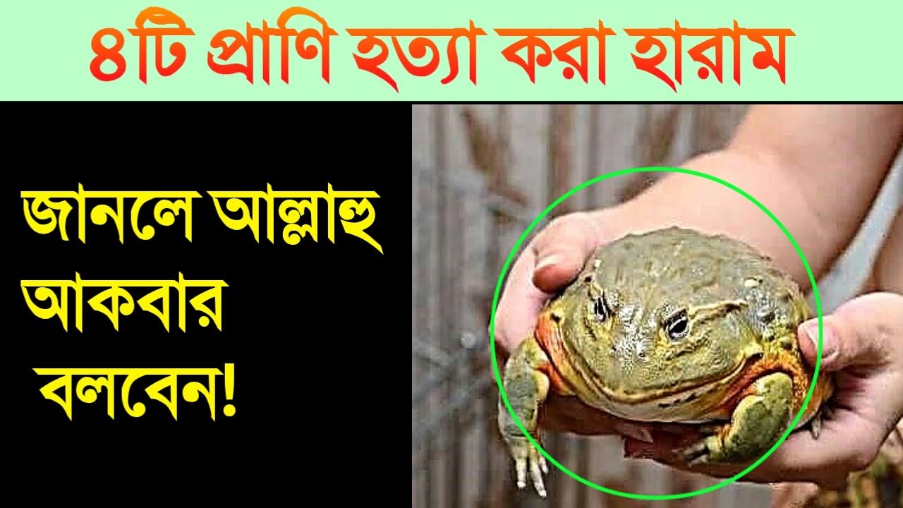 প্রাণী হত্যা করা কঠিন ভাবে নিষেধ করা | Islamic Dawah