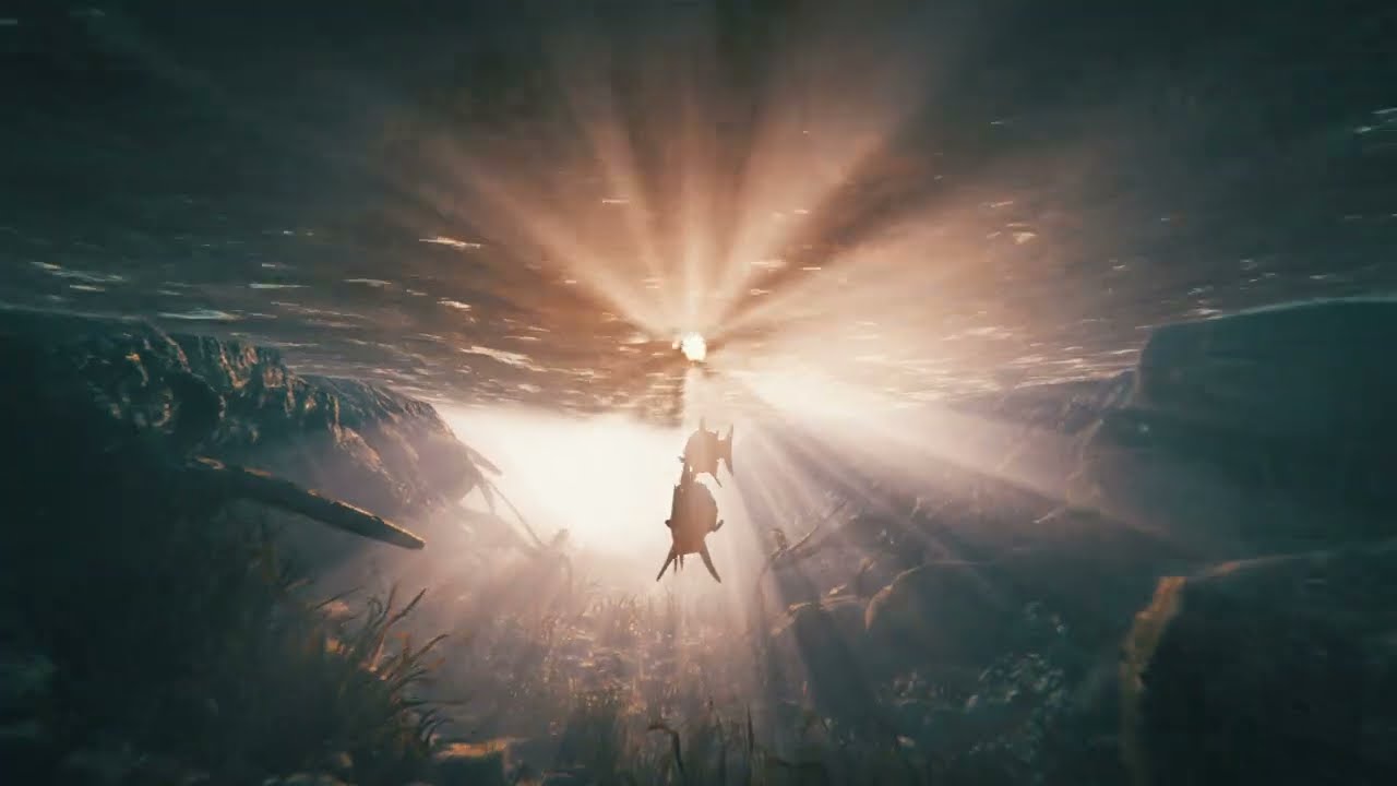 Havainnevideo Taivalkosken kalauomasta
