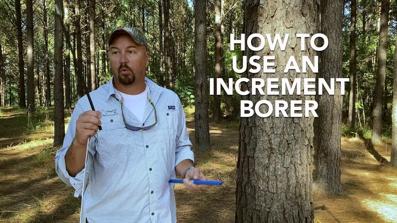 Haglöf Increment borer - How to Use an Increment Borer