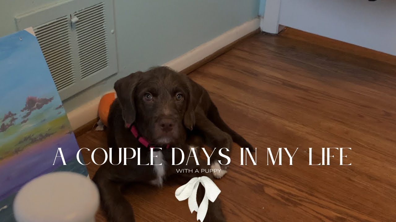 A Couple Days In My Life| We got a puppy, Grocery shopping, and more